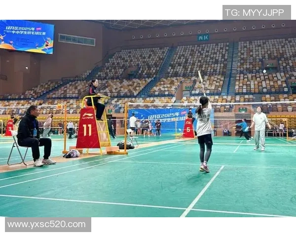 重庆羽毛球队实力解析：探索这支队伍的训练与比赛背后的故事与成就